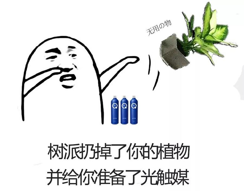 樹派扔掉了你的植物并給你準備了光觸媒